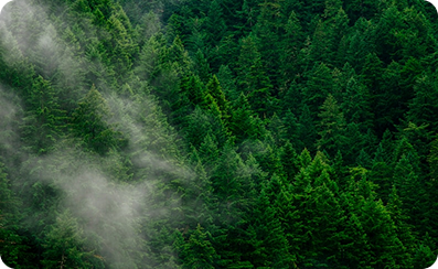 Climate-Neutral Printing