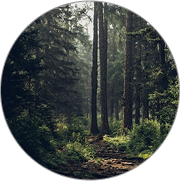 Eco-Friendly online printing